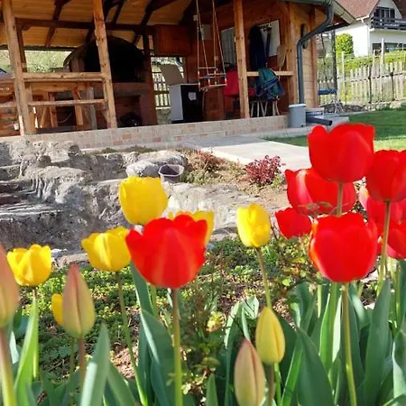 Vikendica Obradovic Holiday home Perucac