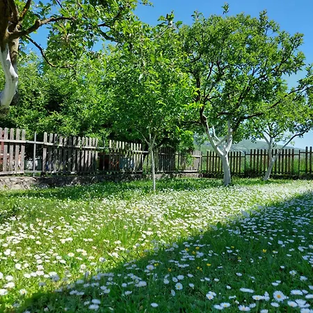 Vikendica Obradovic Holiday home