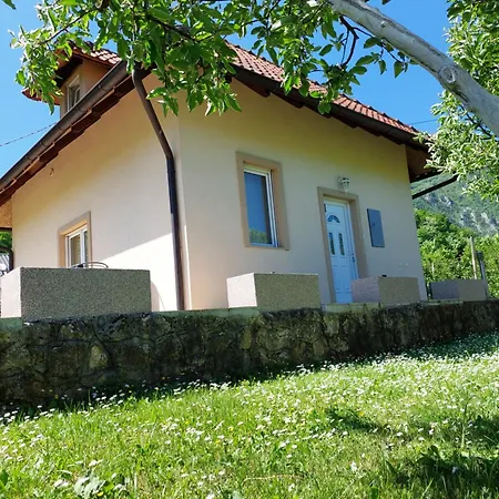 Vikendica Obradovic Holiday home *