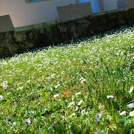 Holiday home Vikendica Obradovic Perucac