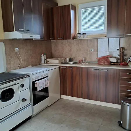 Vikendica Obradovic Holiday home *