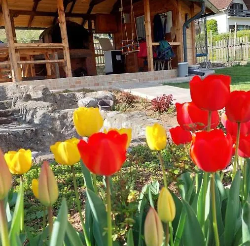 Vikendica Obradovic Feriehus Perucac