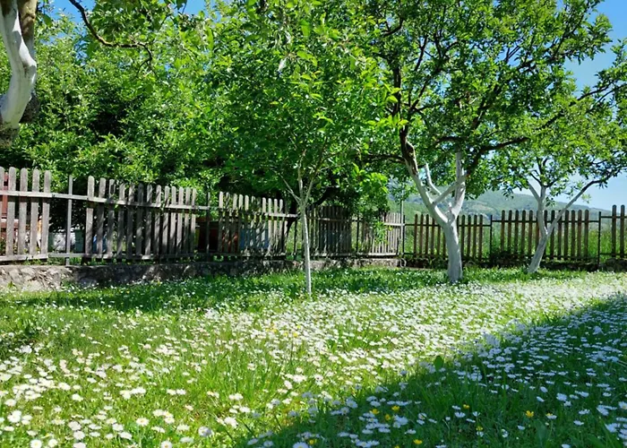 Vikendica Obradovic Feriehus