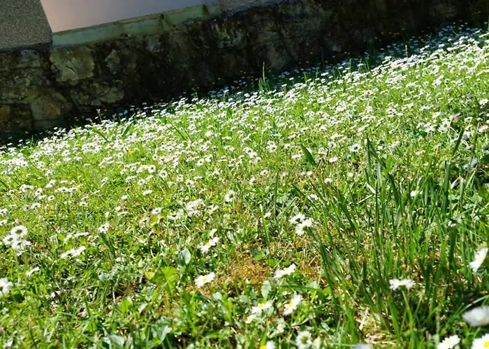 Feriehus Vikendica Obradovic Perucac