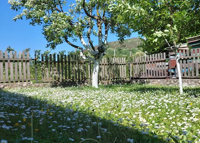 Vikendica Obradovic *